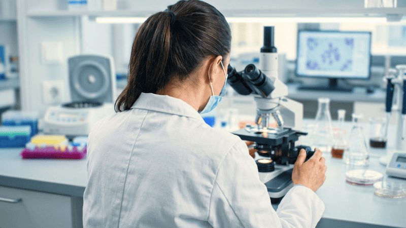 Nouveaux médicaments contre l'obésité : bilan de la recherche en 2026